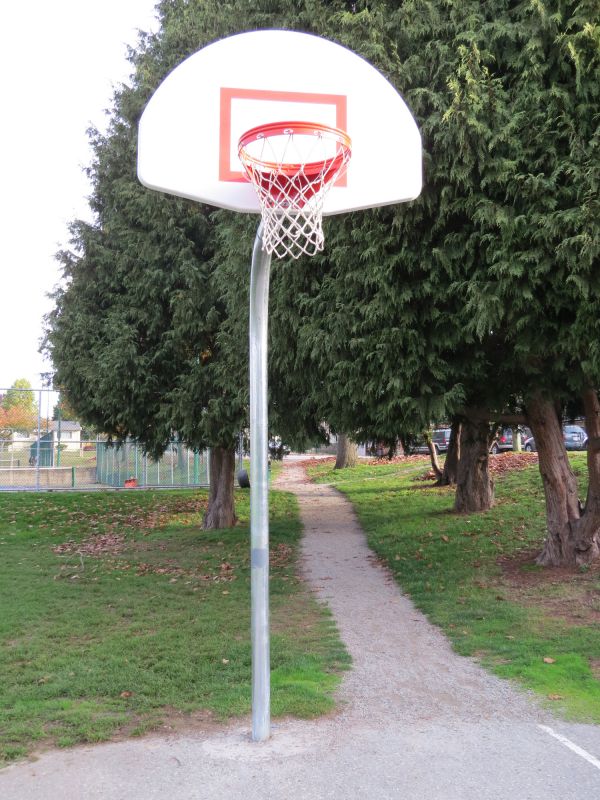 Basketball Hoop Installation in Boulder, CO